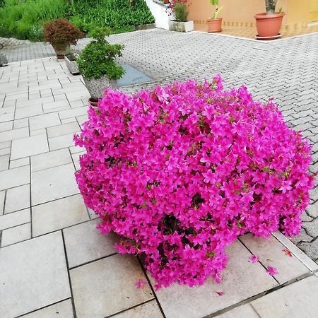 ולדוביאדנה Alloggio Cristina מראה חיצוני תמונה
